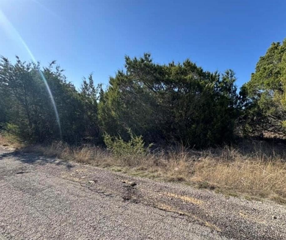 0.03 acres in Hood County gallery image 2