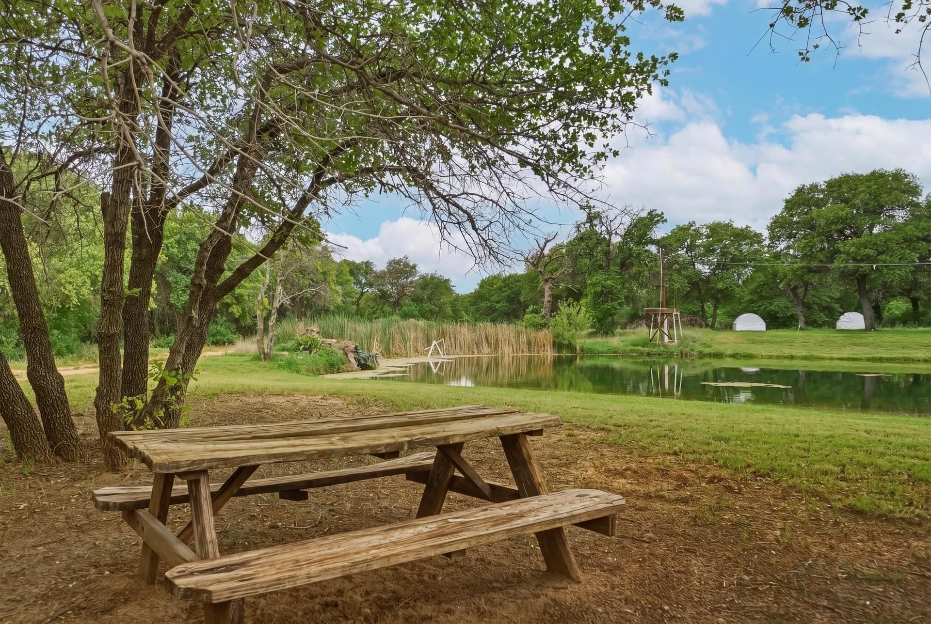 52.32 acres in Jones County - photo 38
