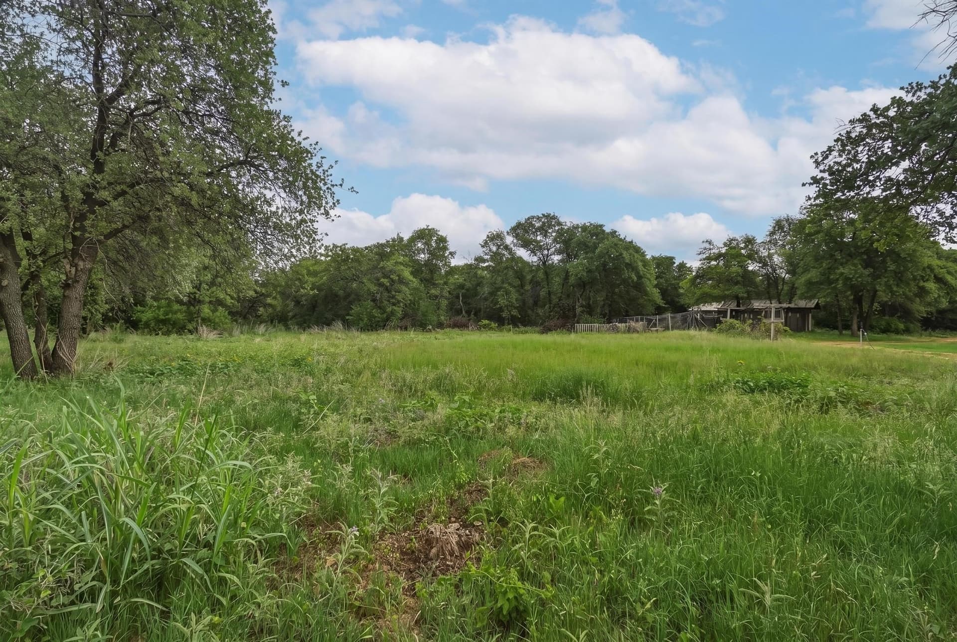 52.32 acres in Jones County - photo 37