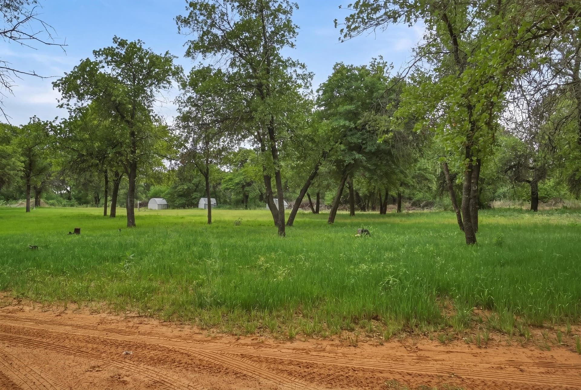 52.32 acres in Jones County - photo 7