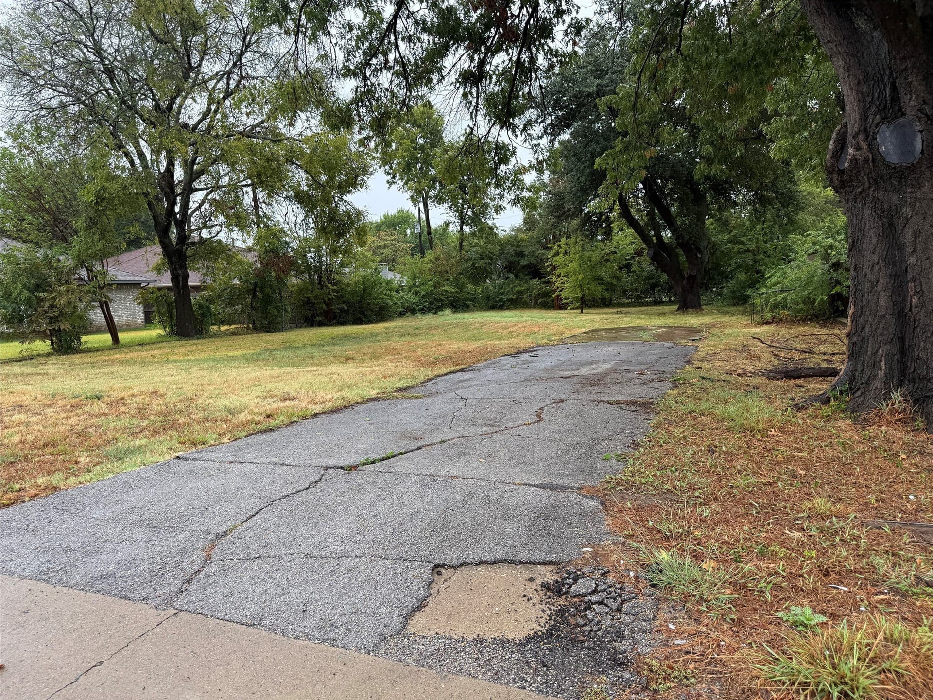0.25 acres in Collin County - photo 9