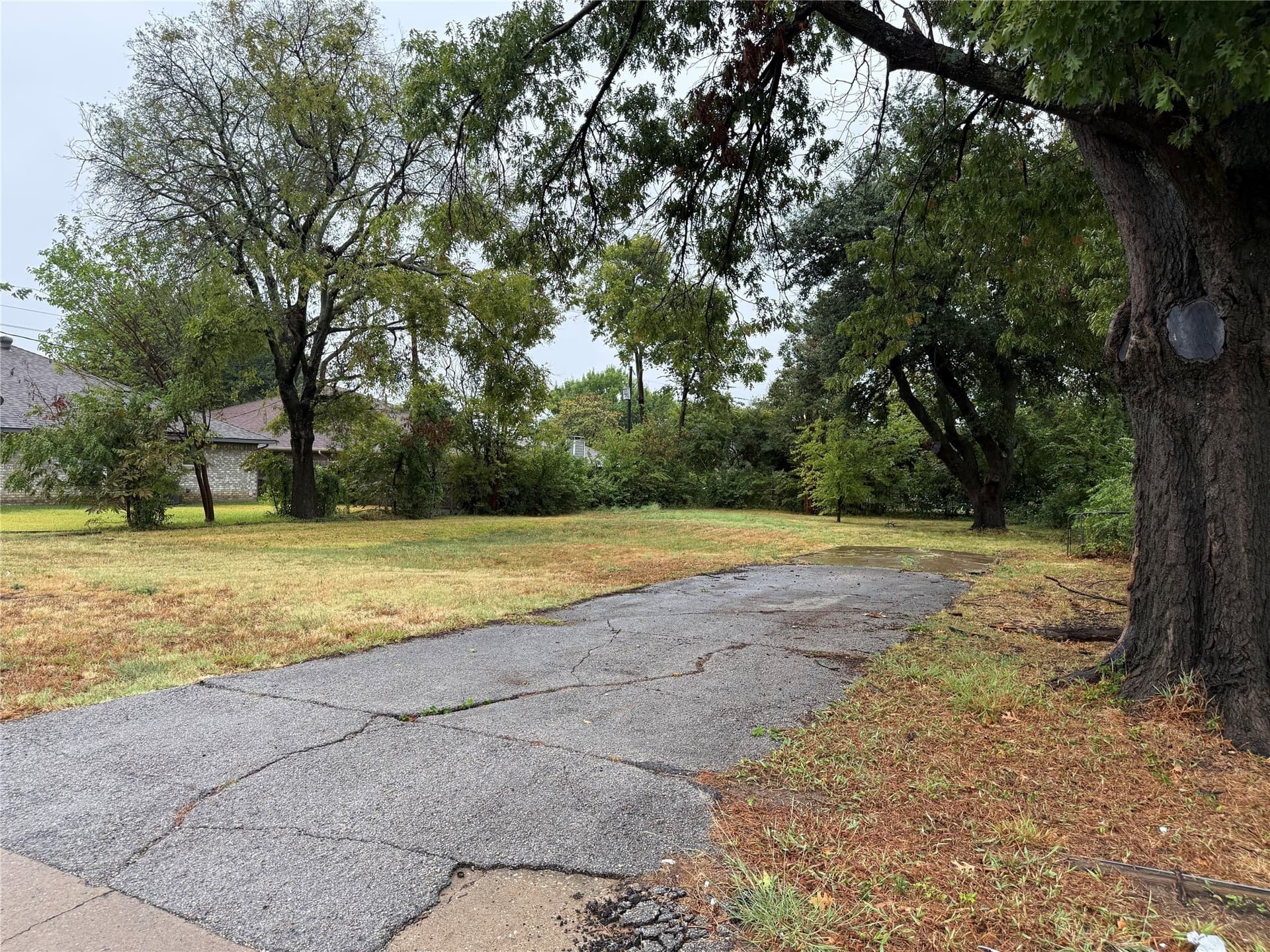 0.25 acres in Collin County - photo 8