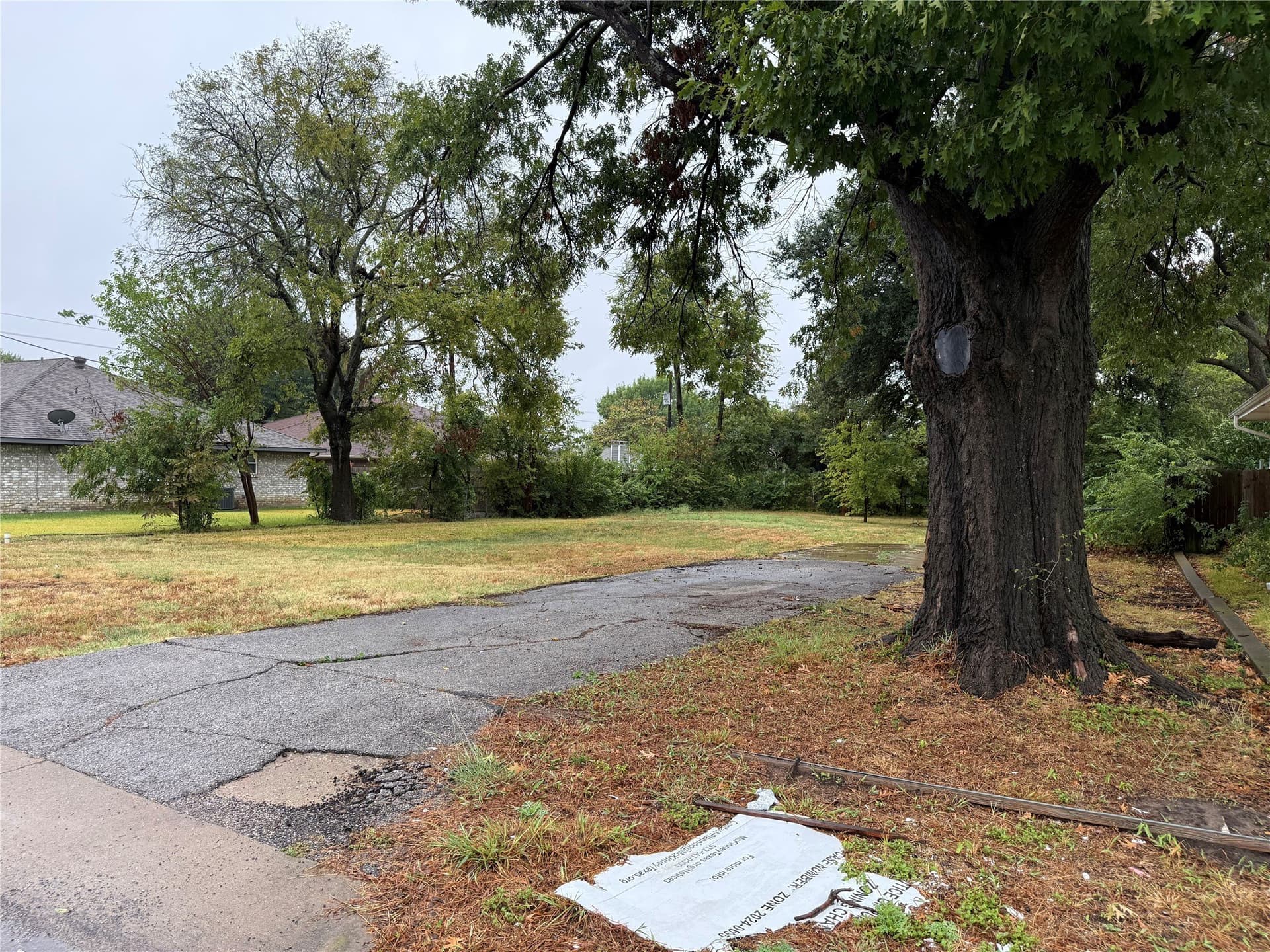 0.25 acres in Collin County - photo 10