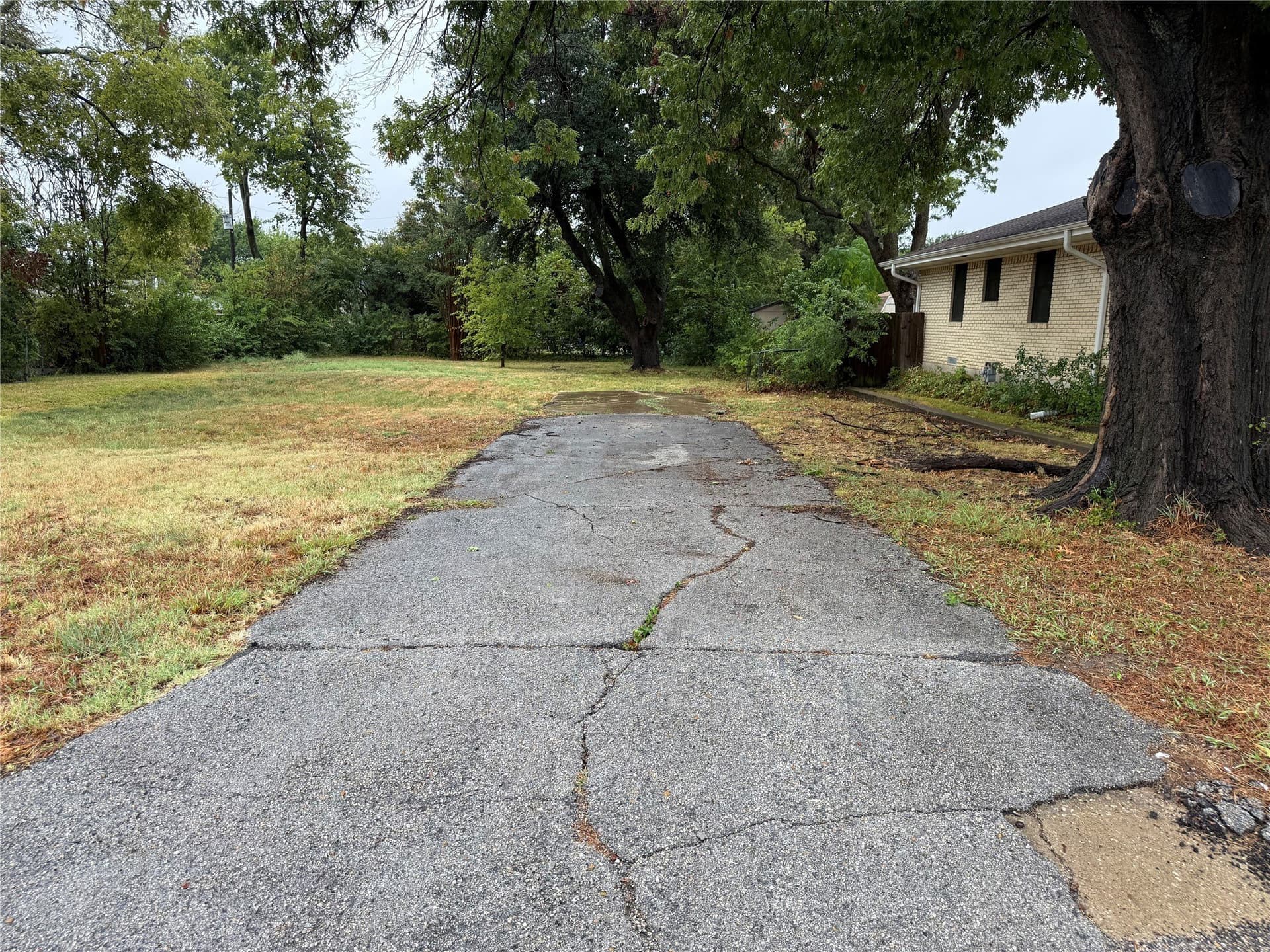 0.25 acres in Collin County - photo 7