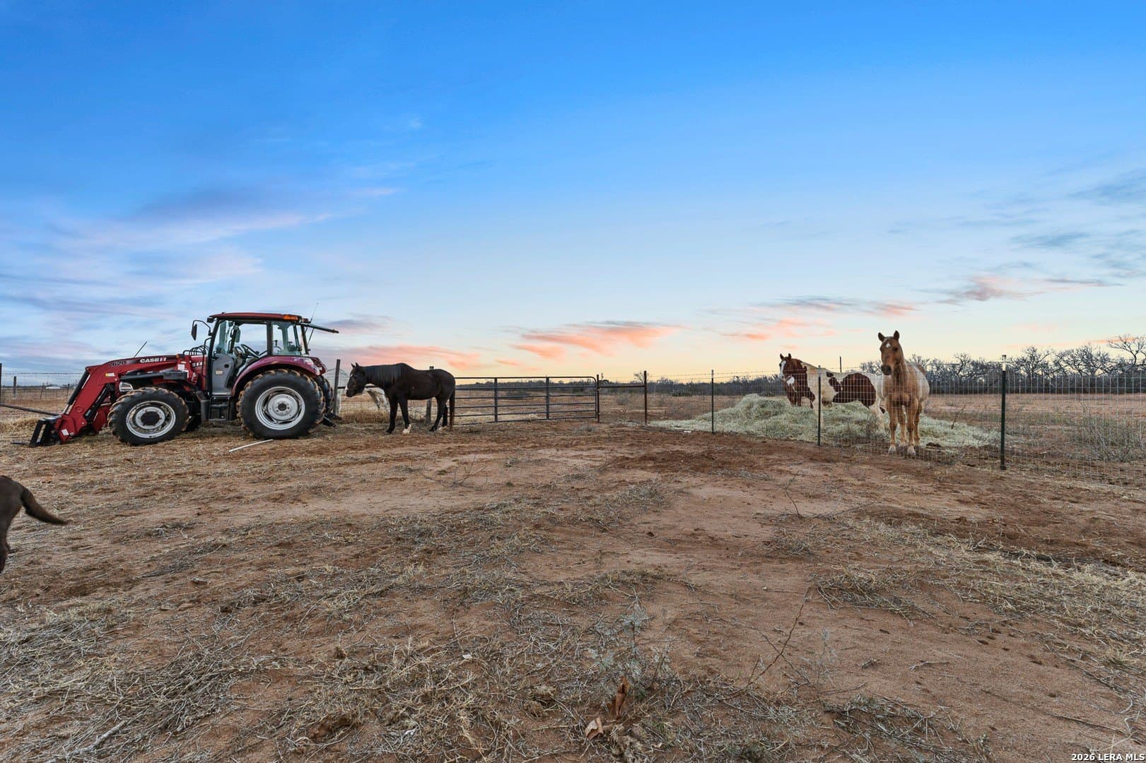 50 acres in Atascosa County - photo 35