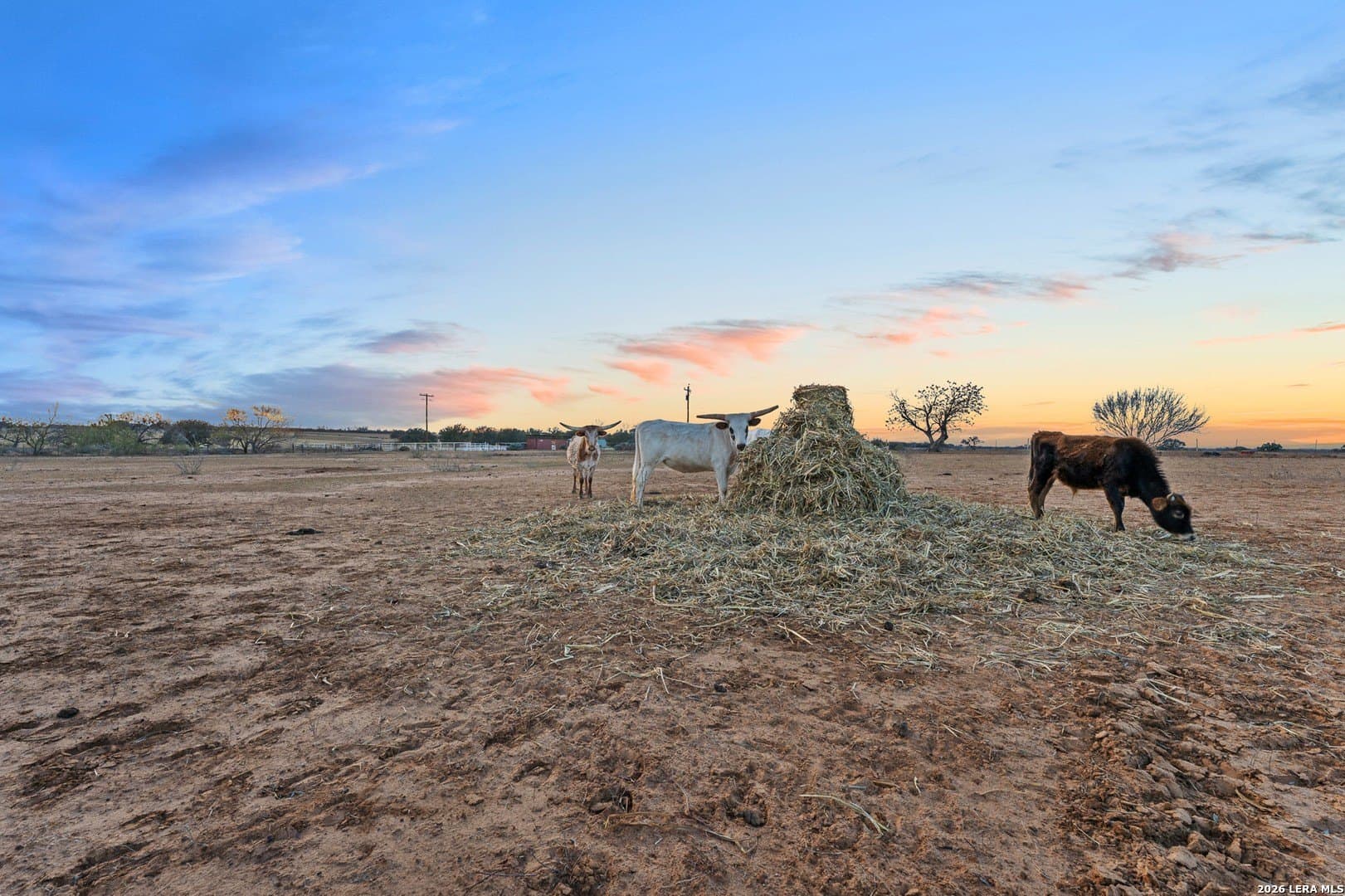 50 acres in Atascosa County - photo 32