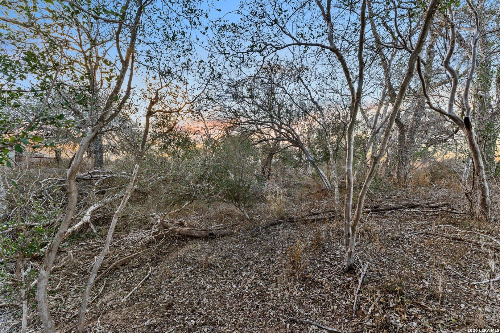 50 acres in Atascosa County - photo 34