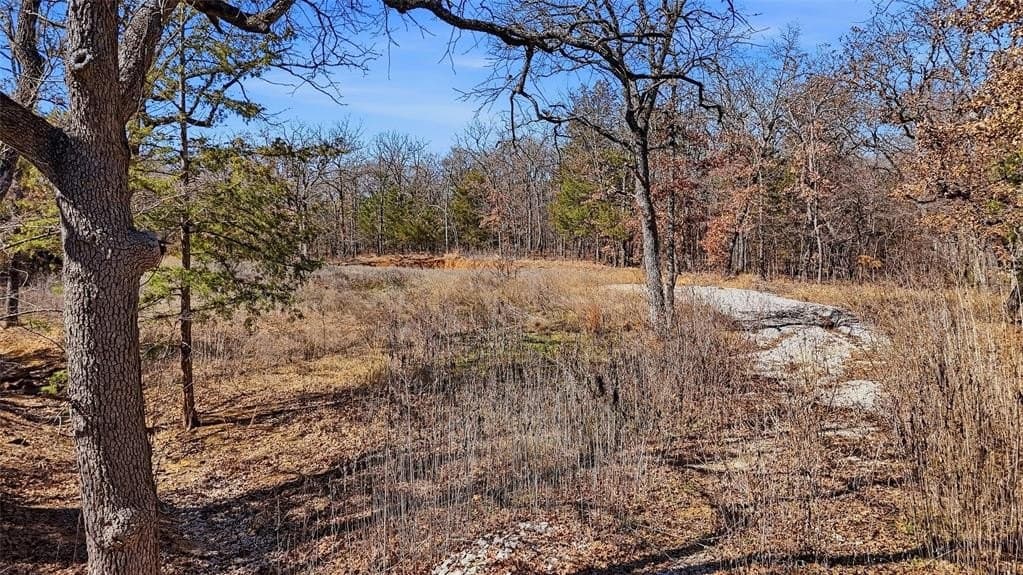 2.01 acres in Cooke County gallery image 3