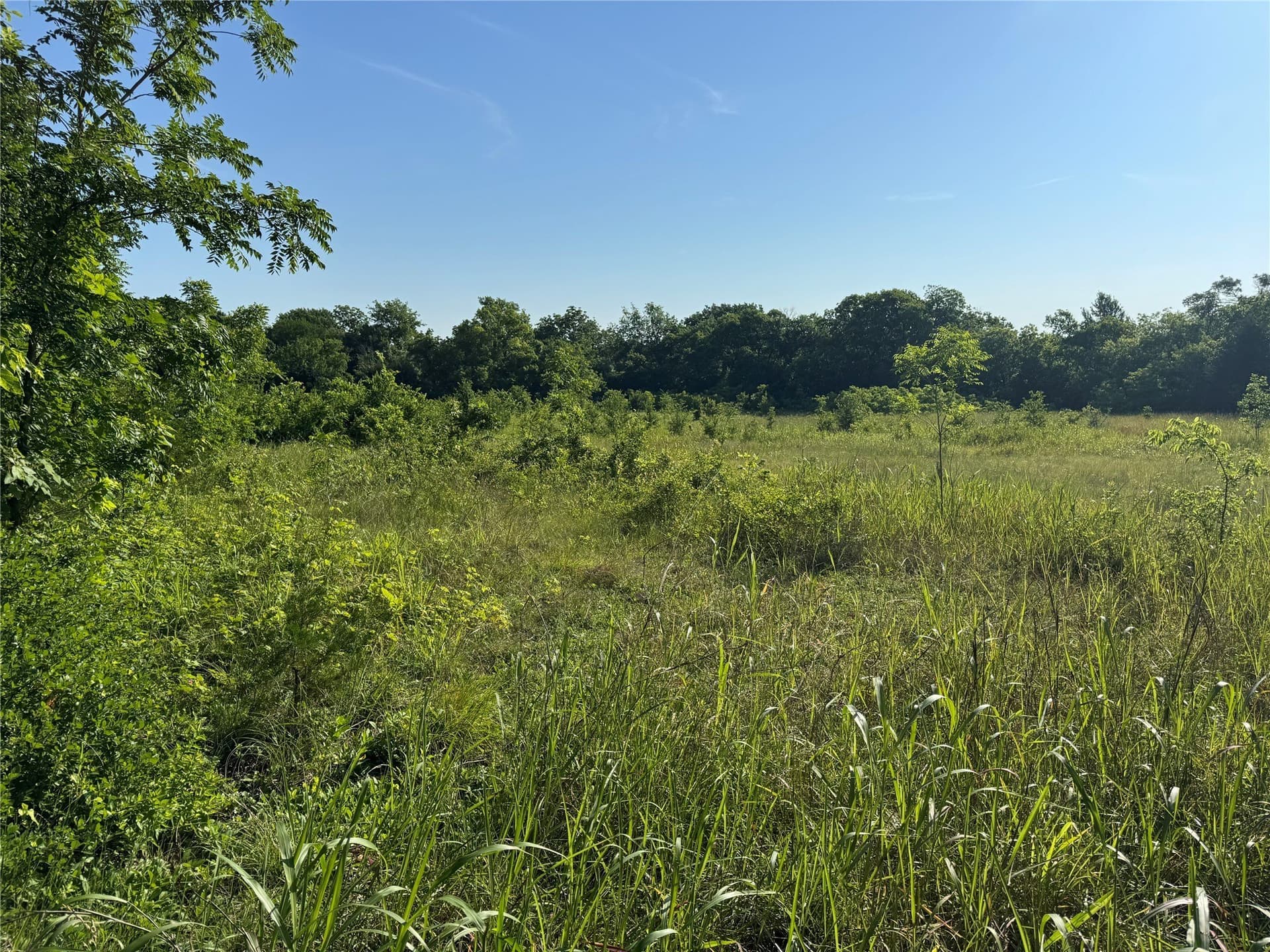 7.9 acres in Grayson County gallery image 2