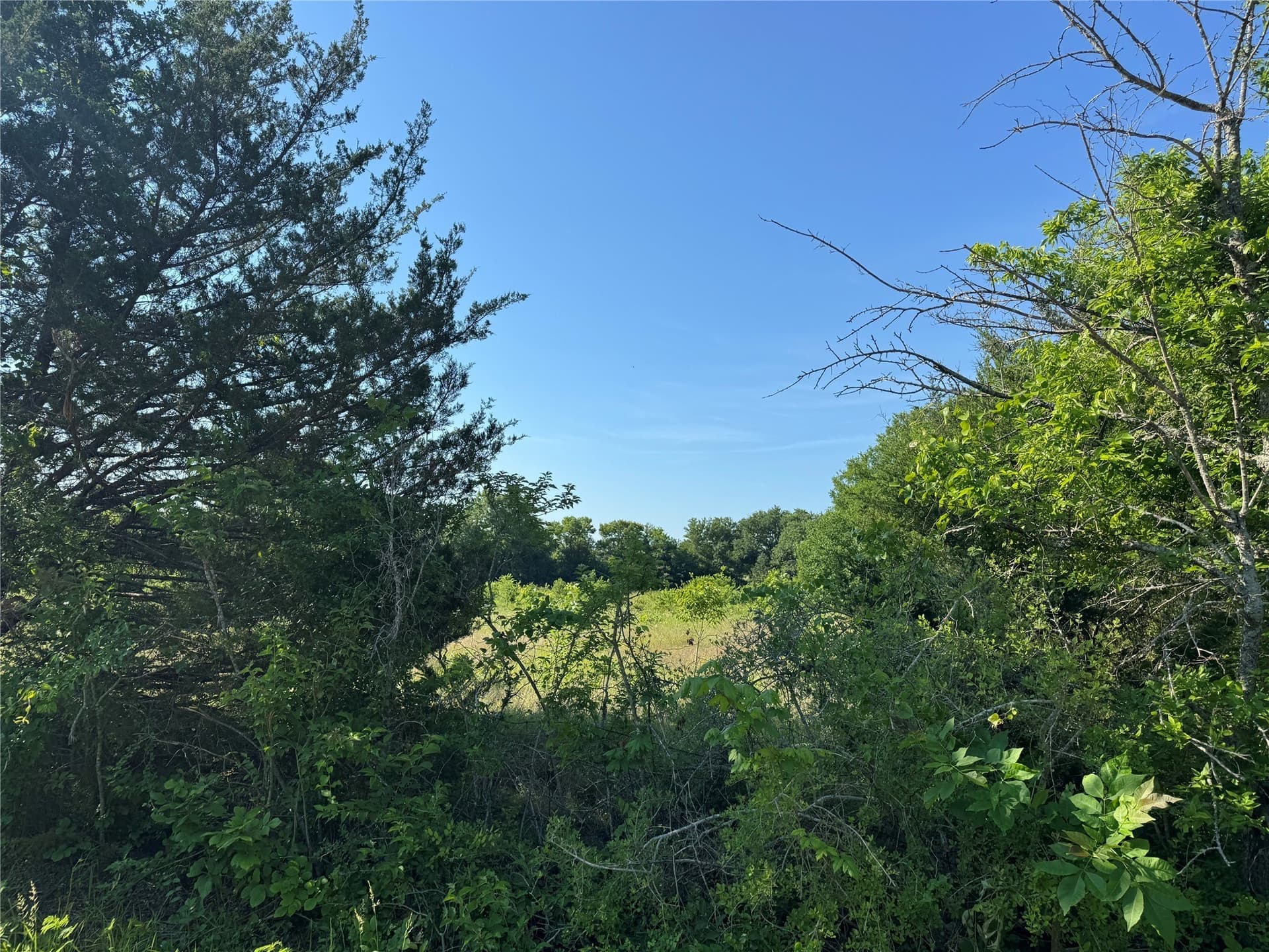 7.9 acres in Grayson County - photo 9
