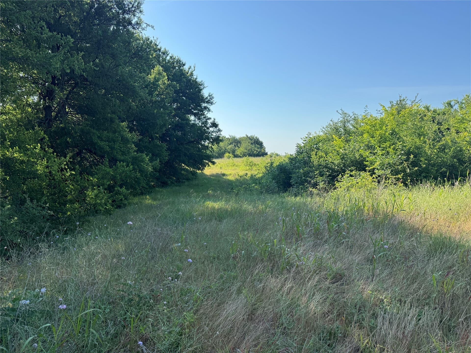 7.9 acres in Grayson County - photo 11