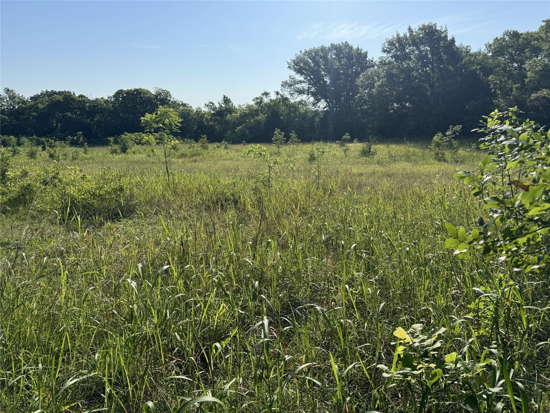 7.9 acres in Grayson County - photo 15