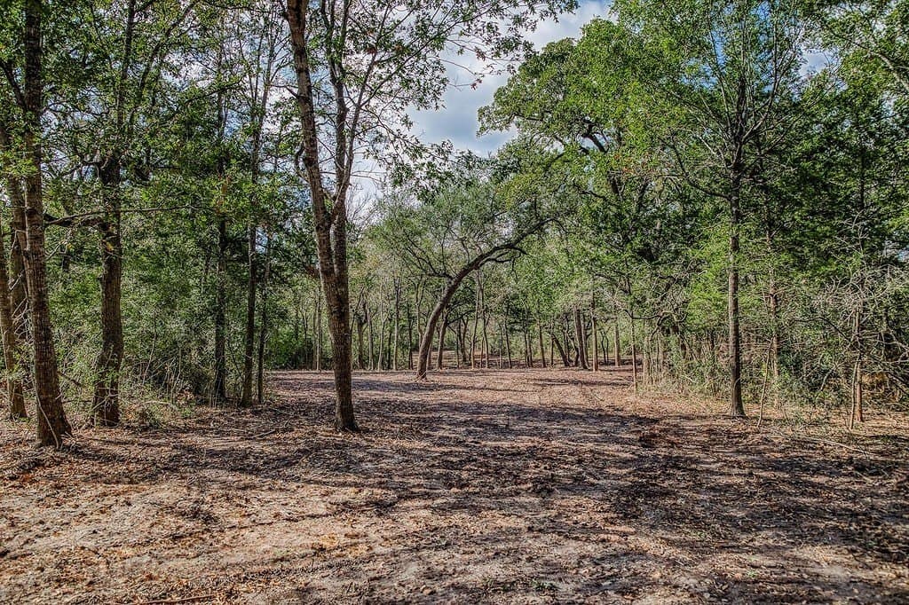 20.5 acres in Washington County - photo 3