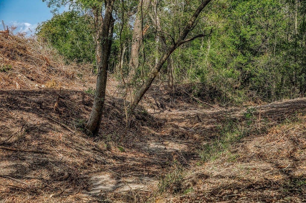 20.5 acres in Washington County - photo 5