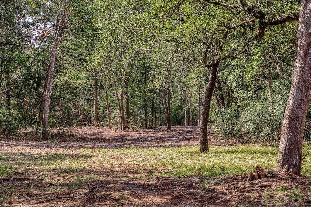 20.5 acres in Washington County - photo 2