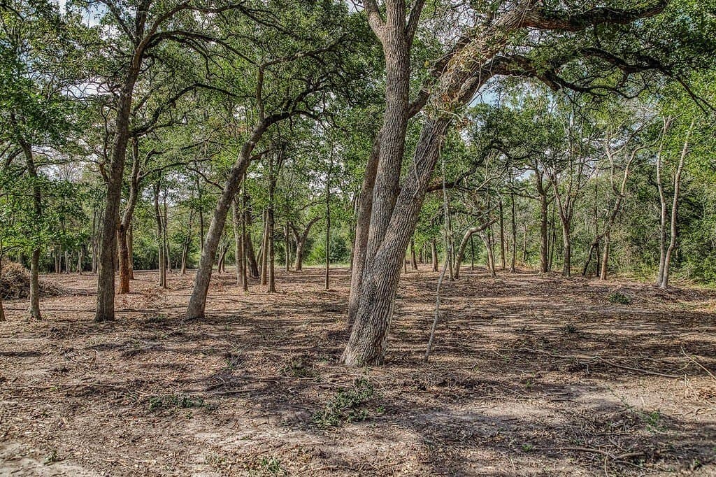 20.5 acres in Washington County - photo 25