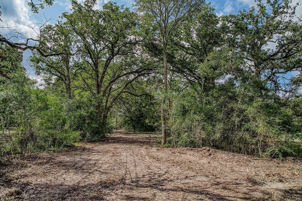 20.5 acres in Washington County - photo 30