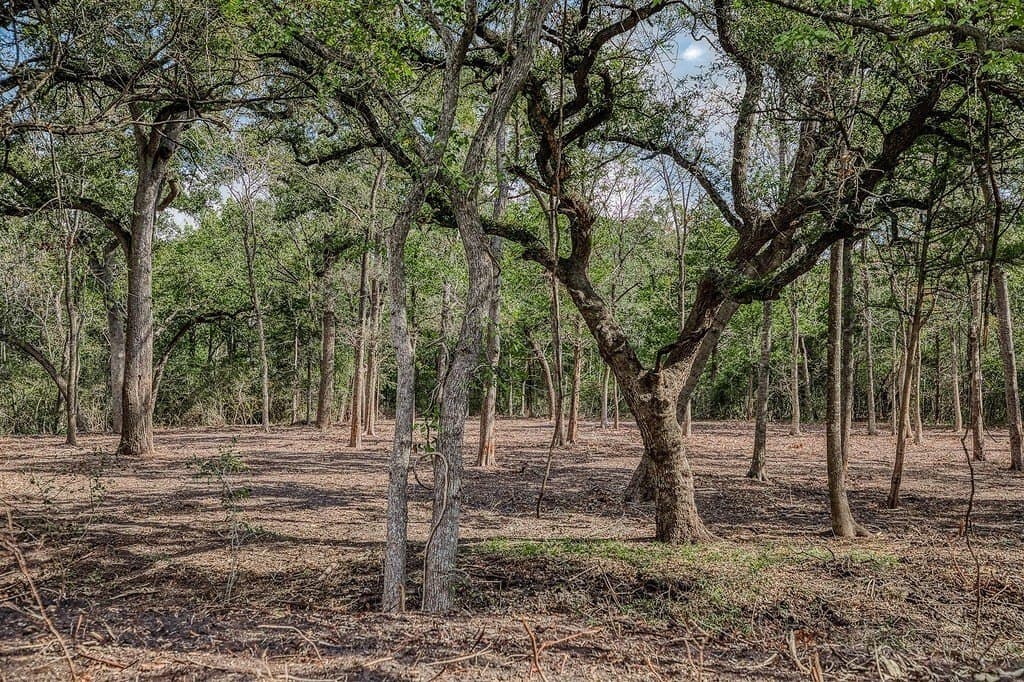20.5 acres in Washington County - photo 13