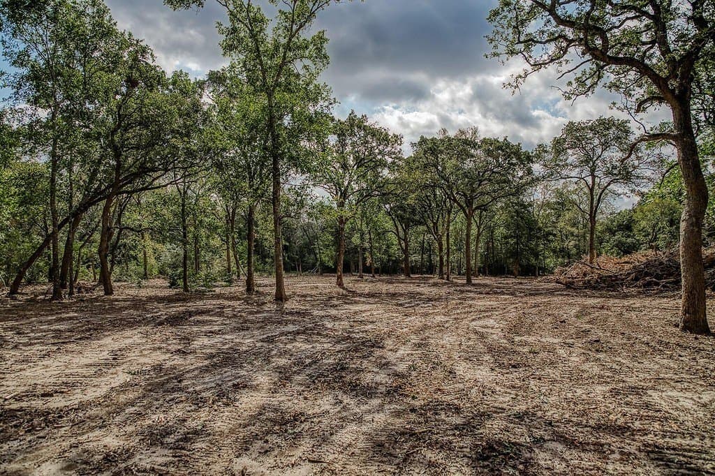 20.5 acres in Washington County - photo 26