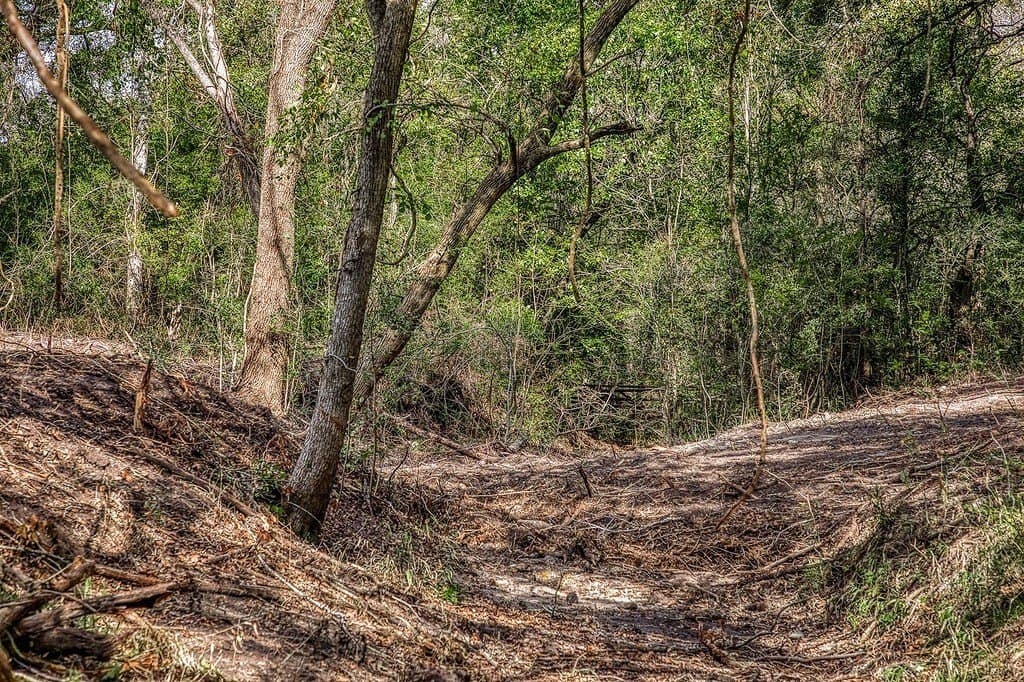 20.5 acres in Washington County - photo 7