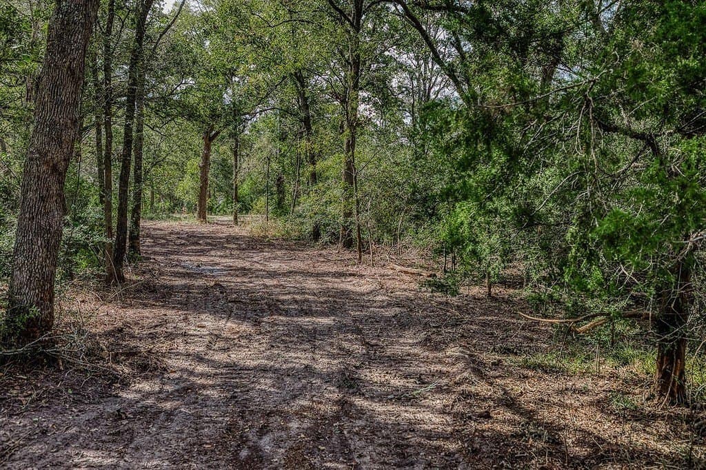 20.5 acres in Washington County - photo 29