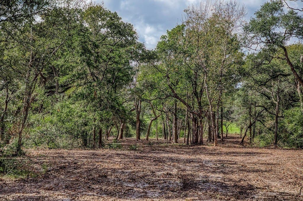 20.5 acres in Washington County - photo 27