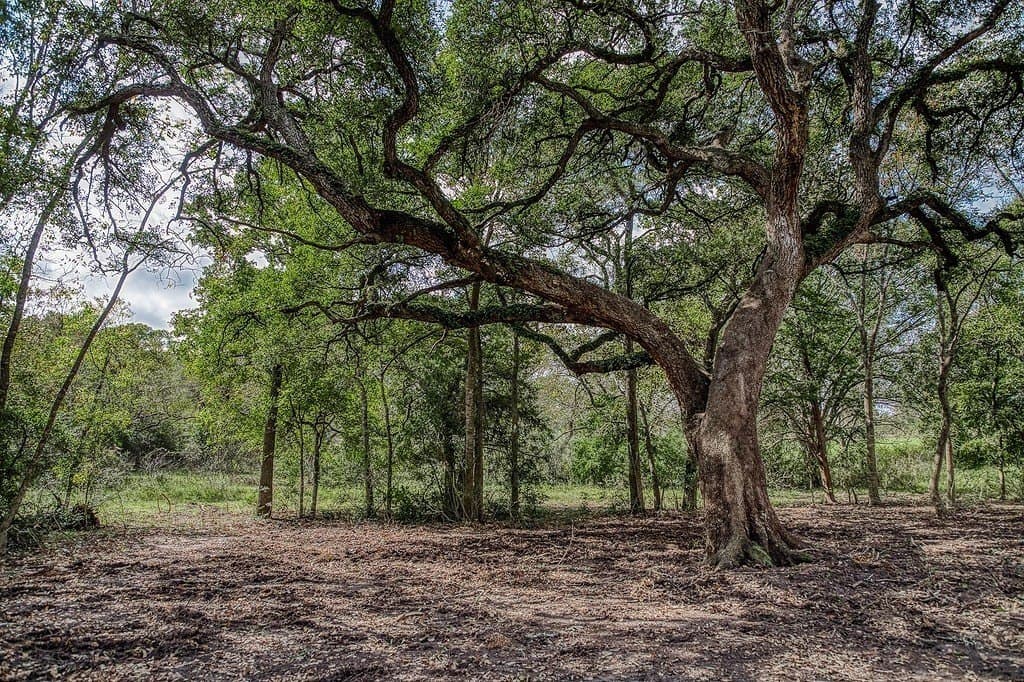 20.5 acres in Washington County - photo 24