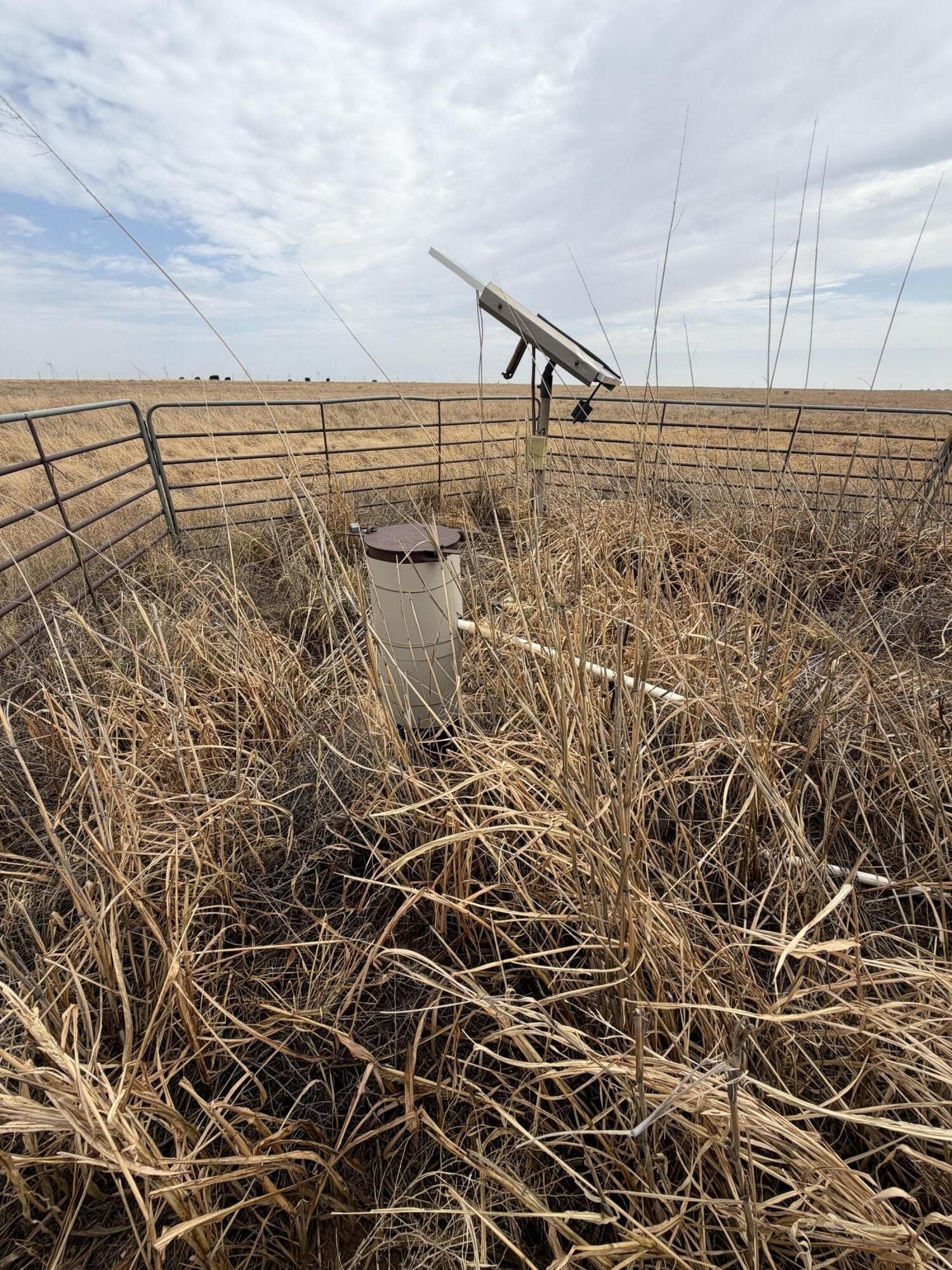 148 acres in Bailey County - photo 11