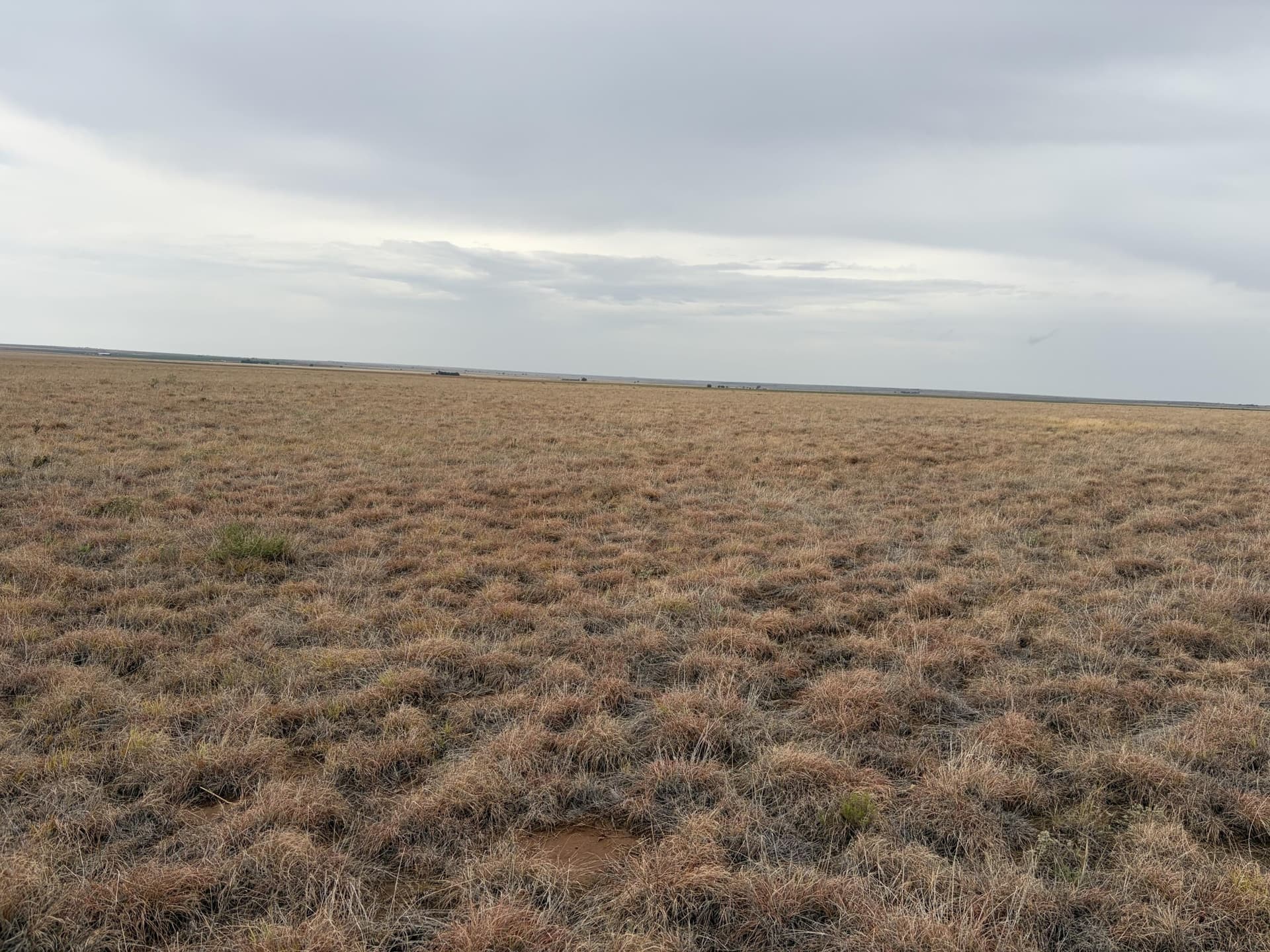 148 acres in Bailey County - photo 2