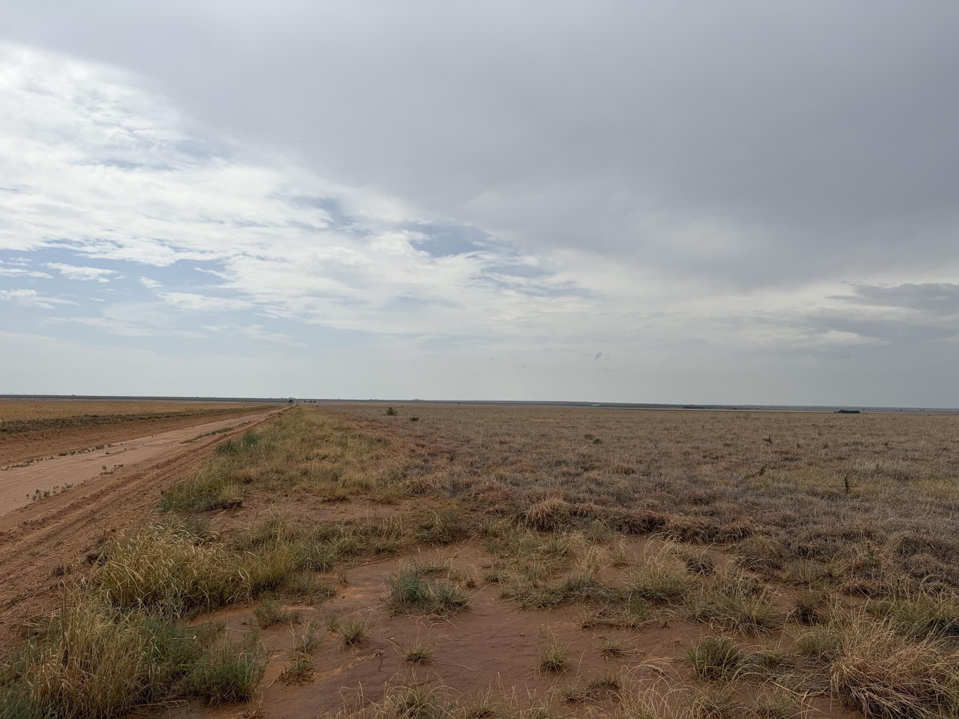 148 acres in Bailey County - photo 15