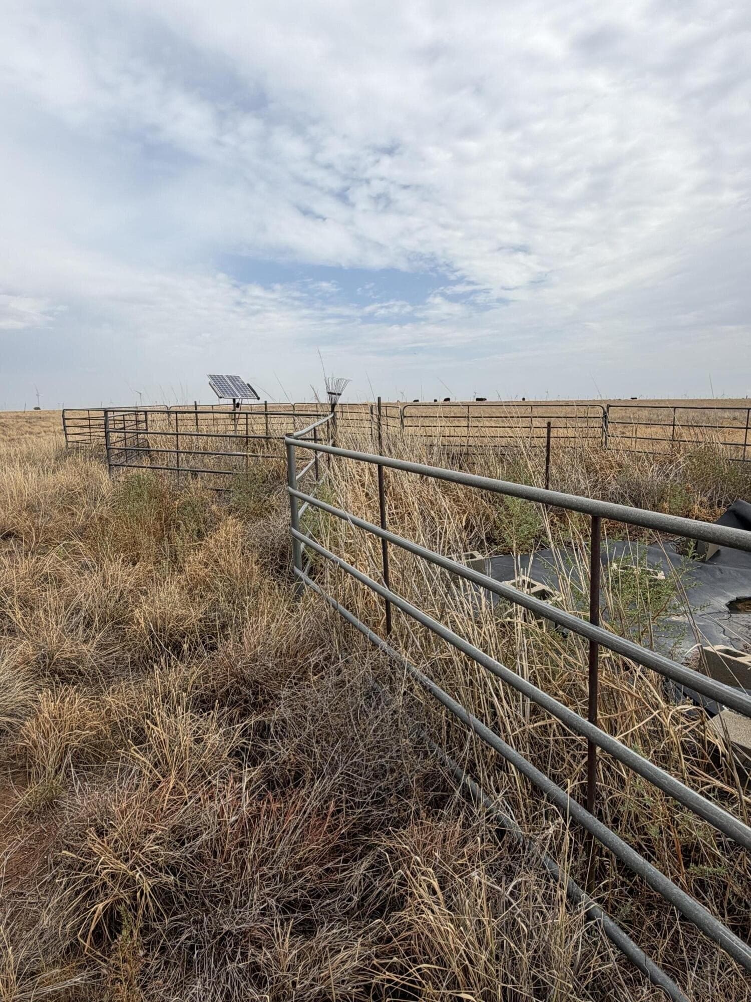148 acres in Bailey County - photo 6