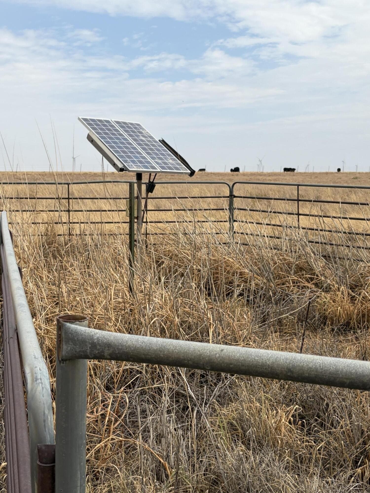 148 acres in Bailey County - photo 8