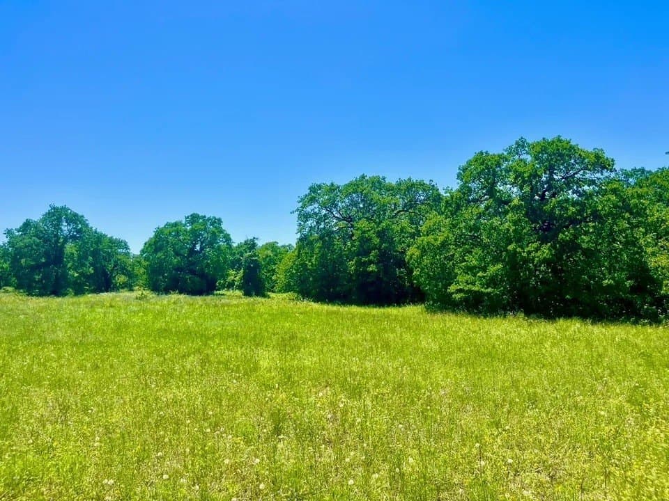 2.1 acres in Parker County - photo 3