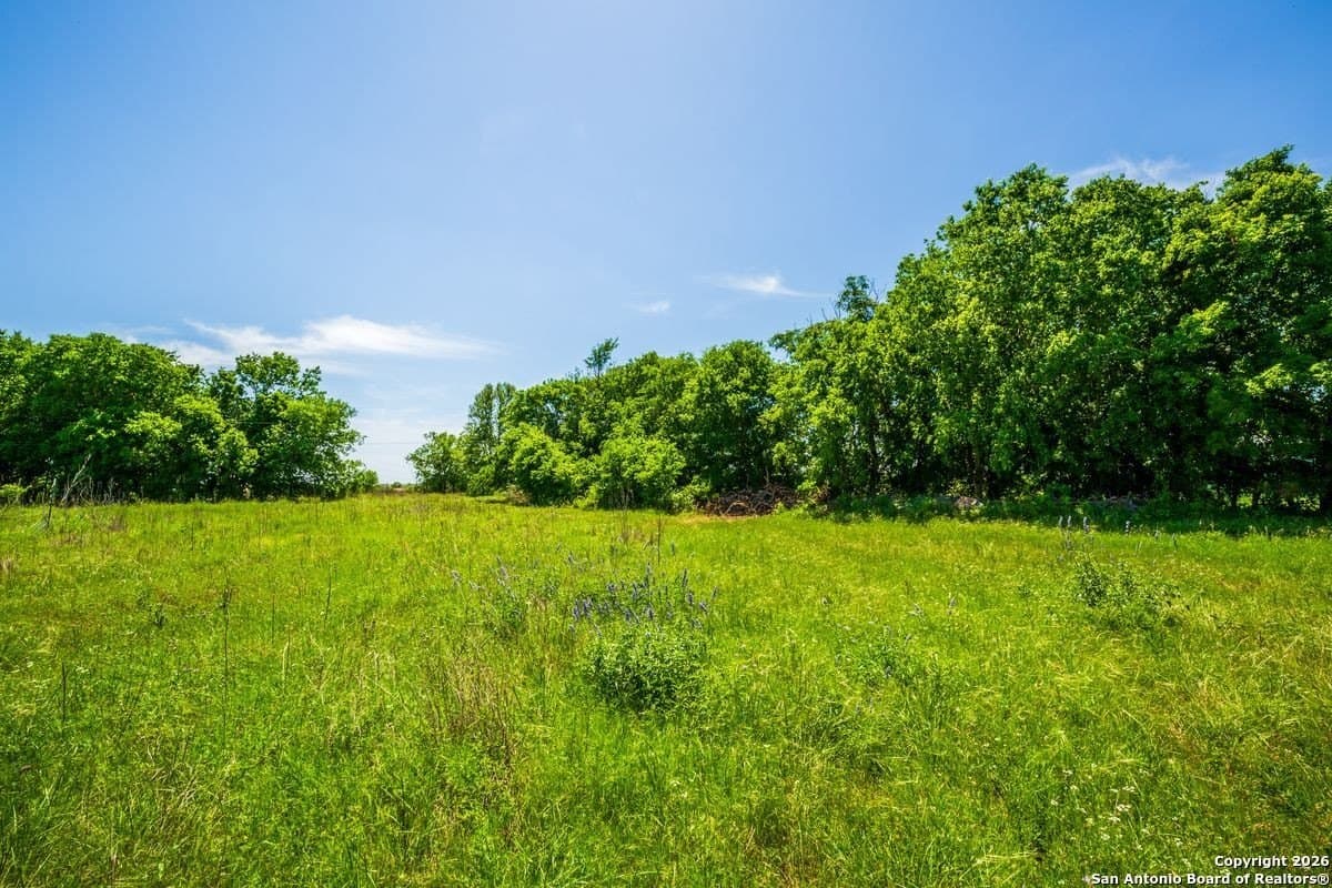 64.55 acres in Guadalupe County - photo 11