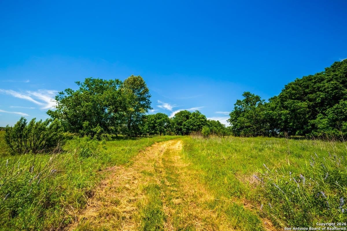 64.55 acres in Guadalupe County - photo 12