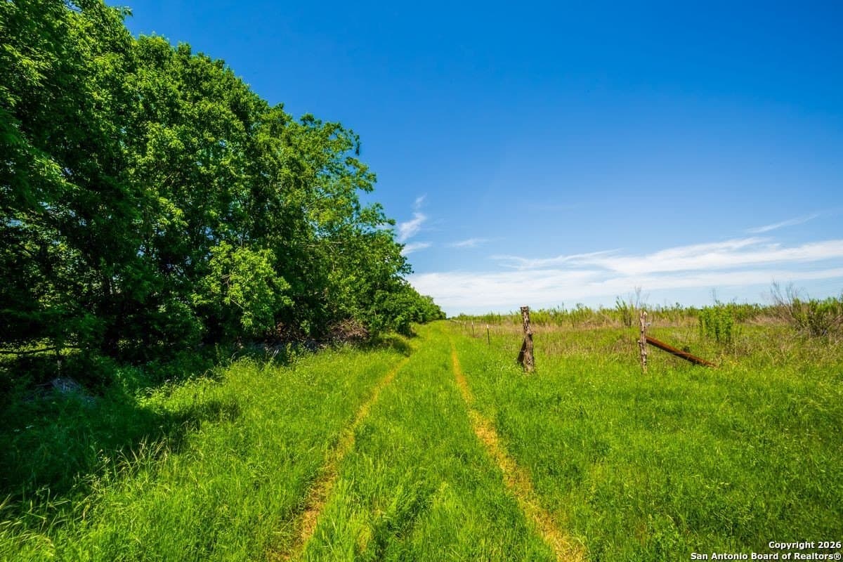 64.55 acres in Guadalupe County - photo 10