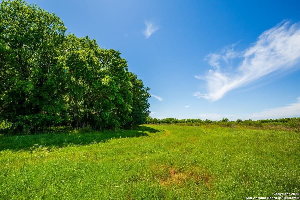 64.55 acres in Guadalupe County