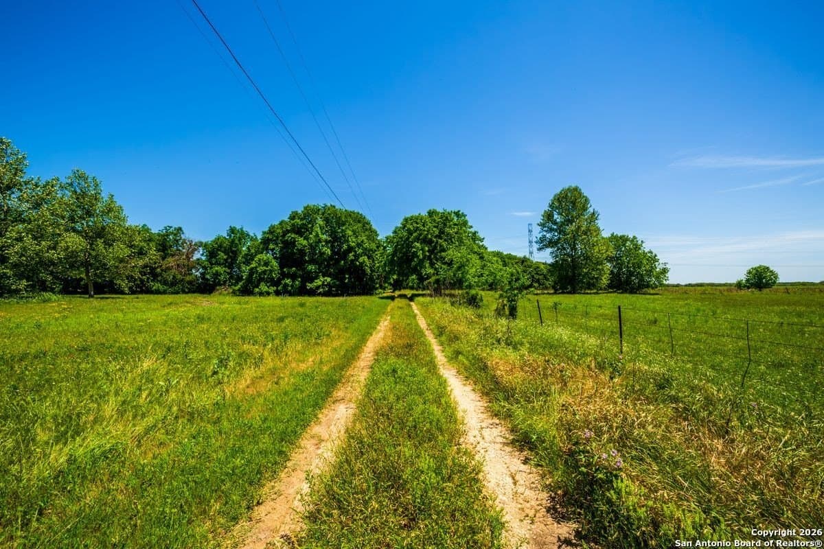 64.55 acres in Guadalupe County featured view