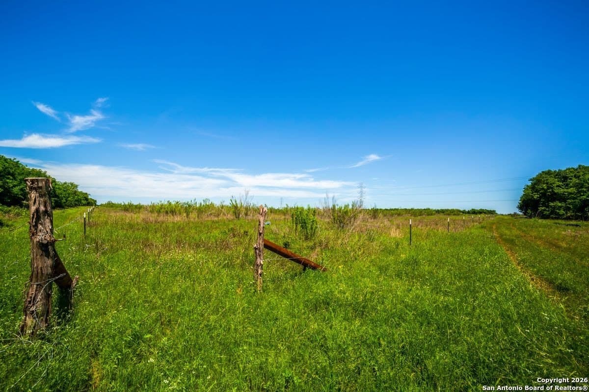 64.55 acres in Guadalupe County - photo 15