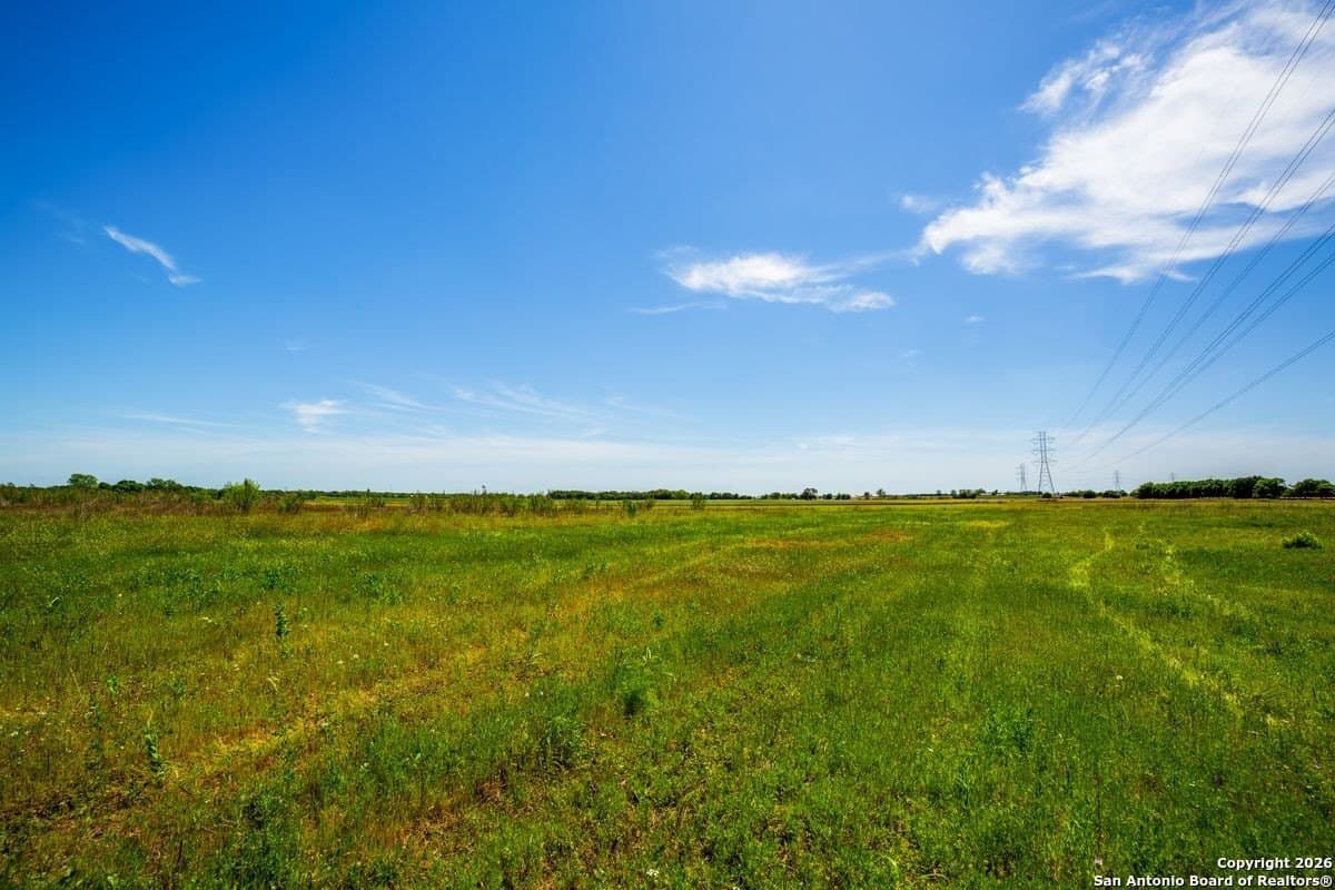 64.55 acres in Guadalupe County gallery image 2