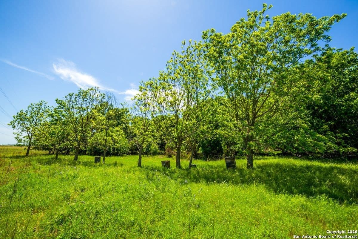 64.55 acres in Guadalupe County - photo 13