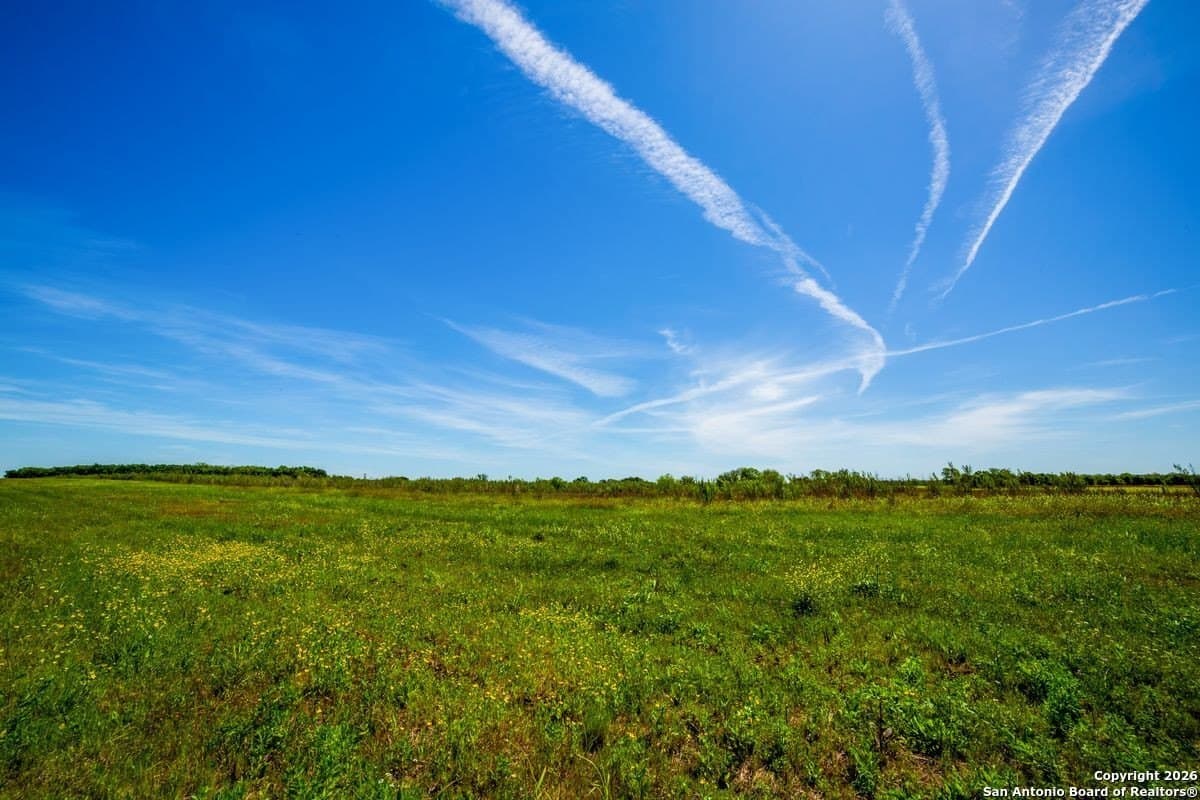 64.55 acres in Guadalupe County gallery image 3