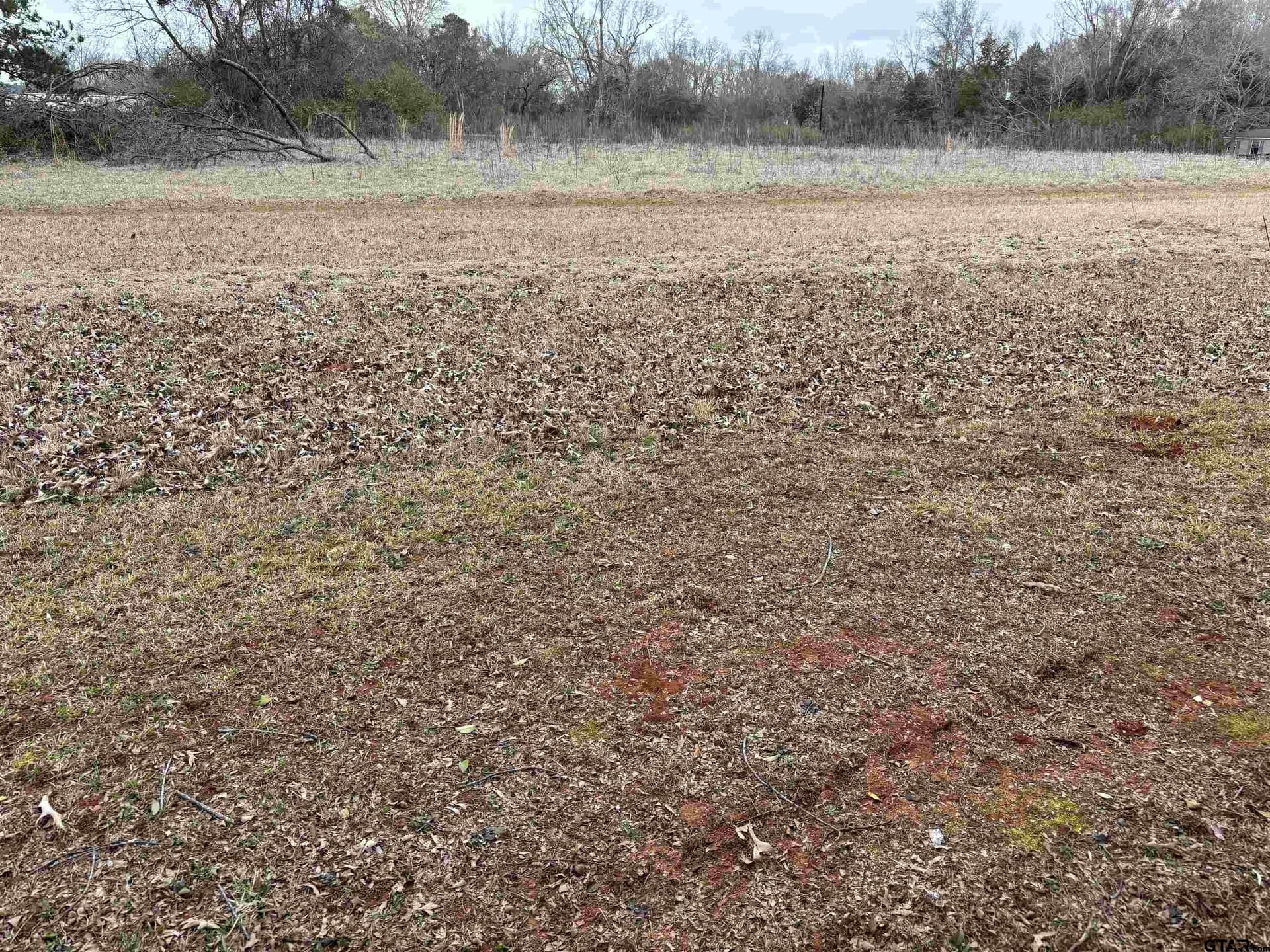0.33 acres in Cherokee County gallery image 2