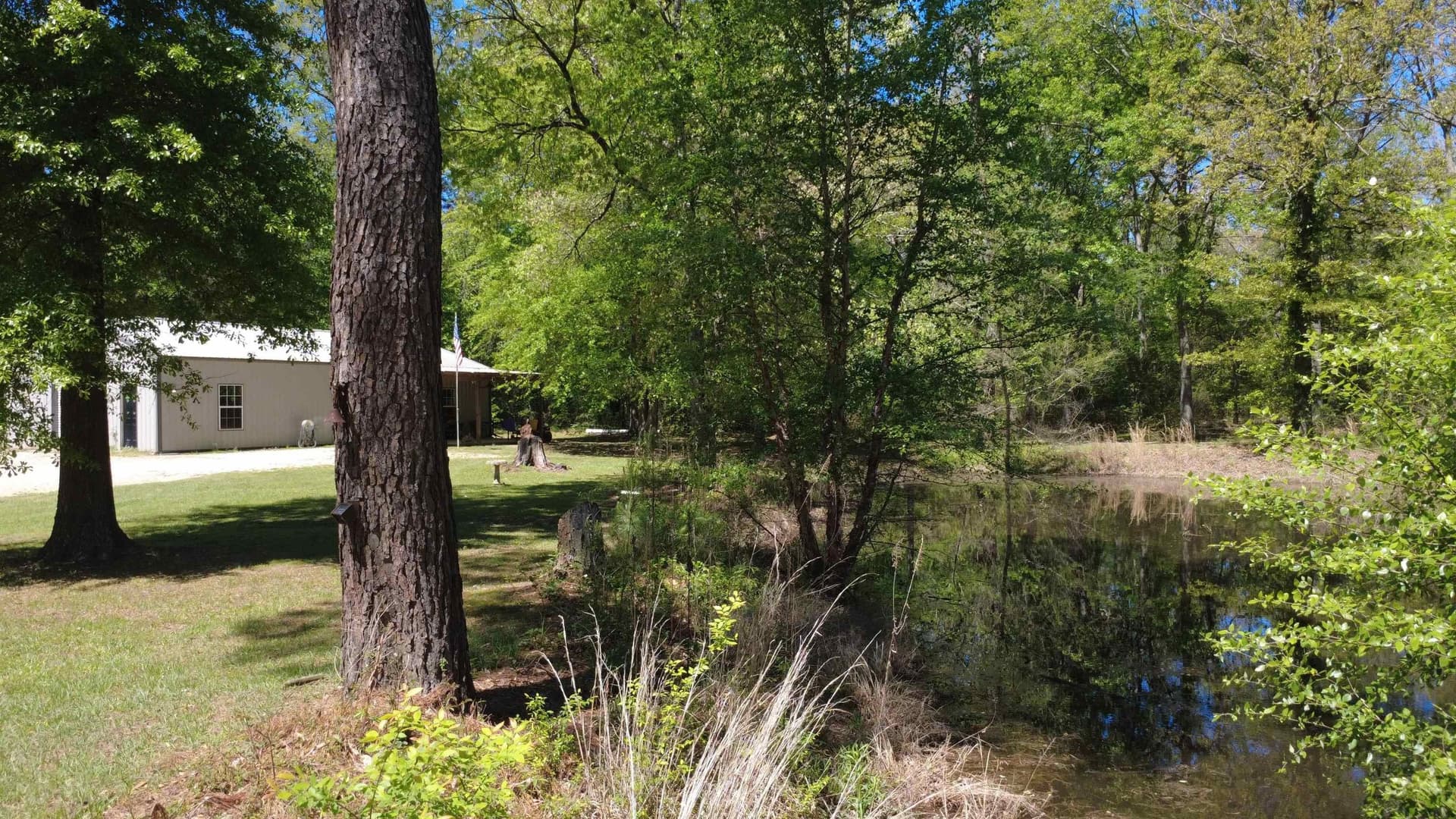 10.1 acres in Upshur County gallery image 4