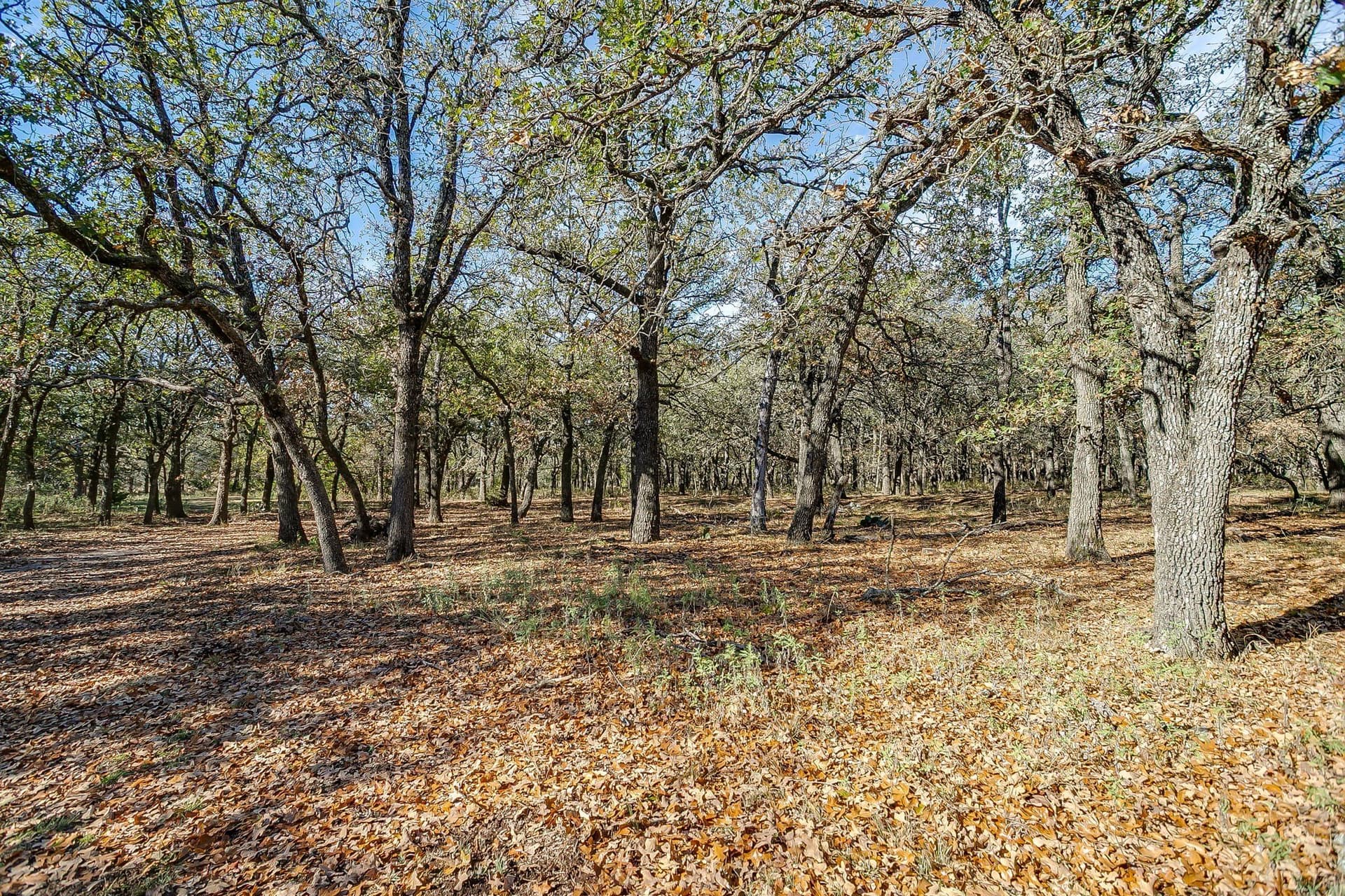 298 acres in Erath County - photo 26