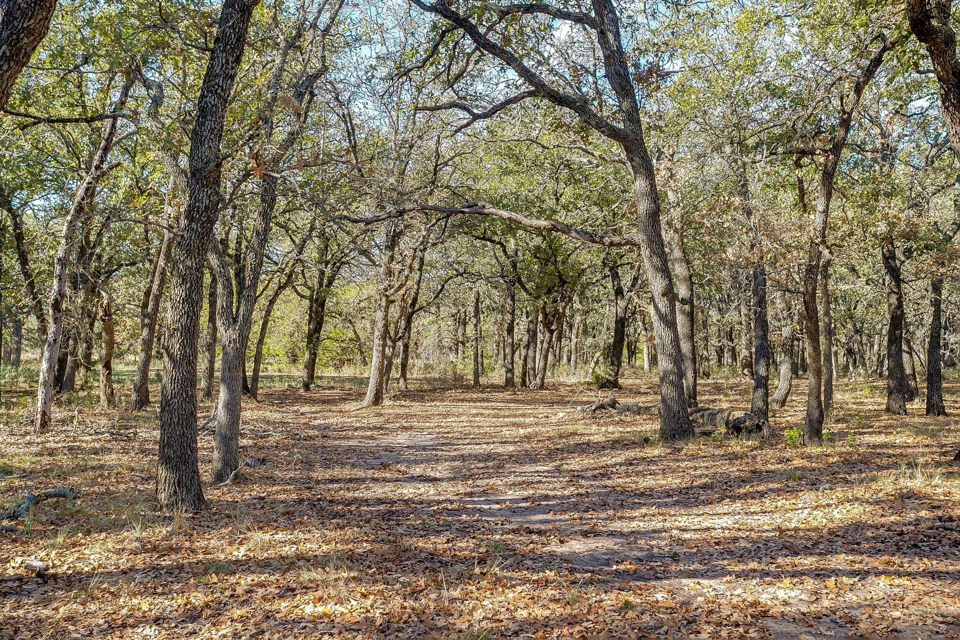 298 acres in Erath County - photo 28