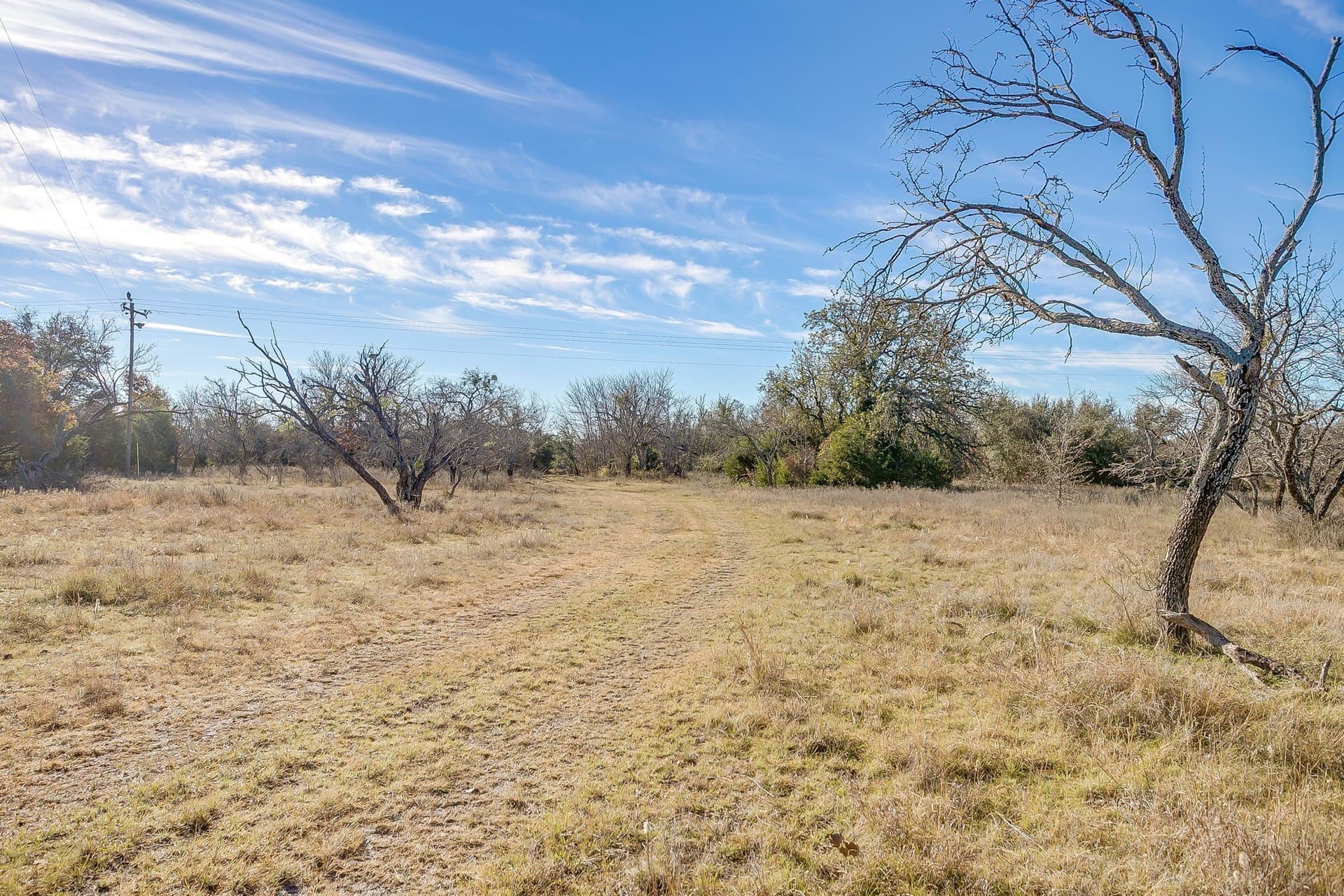 298 acres in Erath County - photo 19
