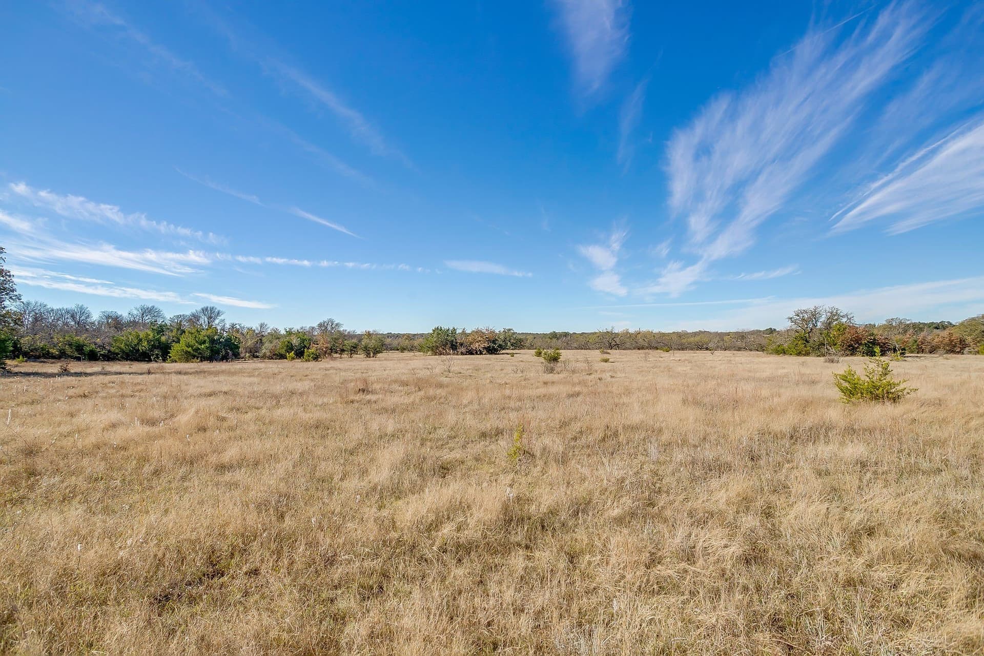 298 acres in Erath County - photo 24