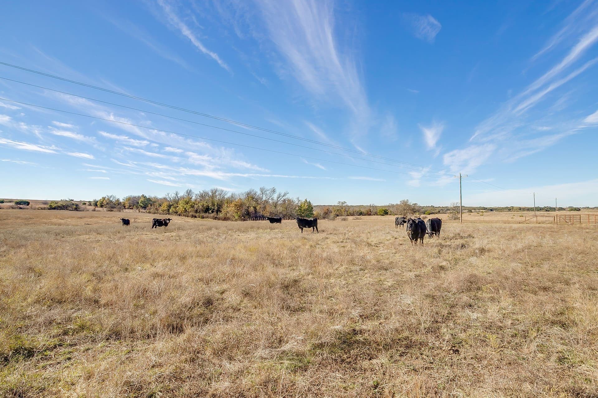 298 acres in Erath County - photo 22