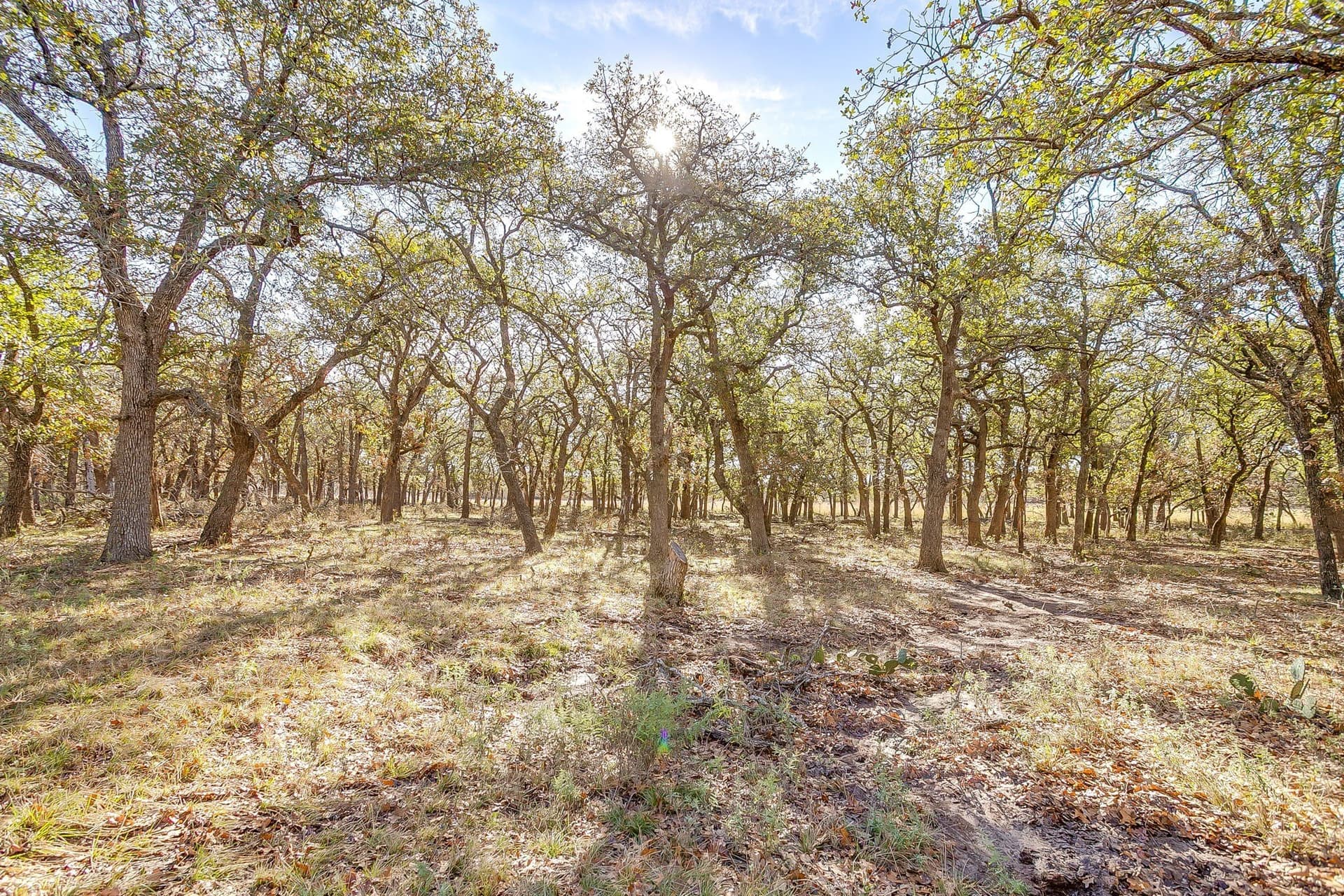 298 acres in Erath County - photo 27